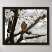 Robin in black poster (Vorne)