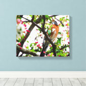 Robin in Blooming Crabapple Tree Print Leinwand (Insitu (Holzboden))