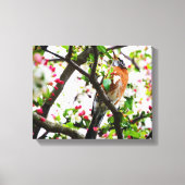 Robin in Blooming Crabapple Tree Print Leinwand (Vorderseite)