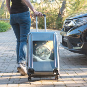 Robin in Globe Vinyl Sticker (Koffer Insitu)