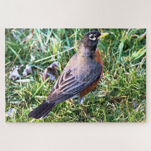 Robin in Grass Puzzle (Horizontal)