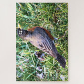 Robin in Grass Puzzle (Vertikal)