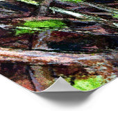 Robin in Hedge Poster (Ecke)