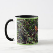 Robin in Hedge Tasse (Links)