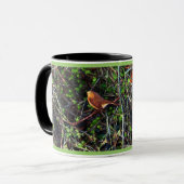 Robin in Hedge Tasse (Vorderseite Links)