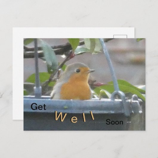 Robin in Pflanze Pot wird bald gut Postcard Postkarte (Vorne/Hinten)