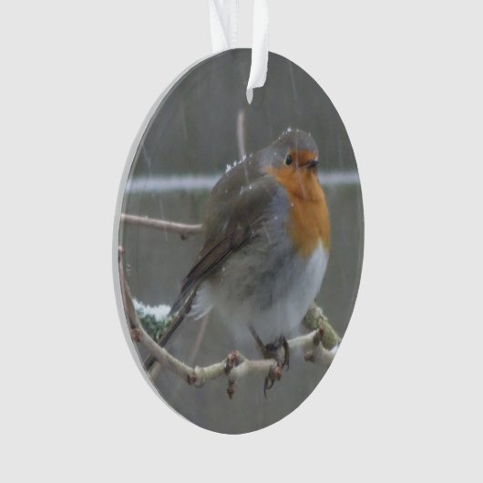 Robin in Snow Ornament (Vorderseite)
