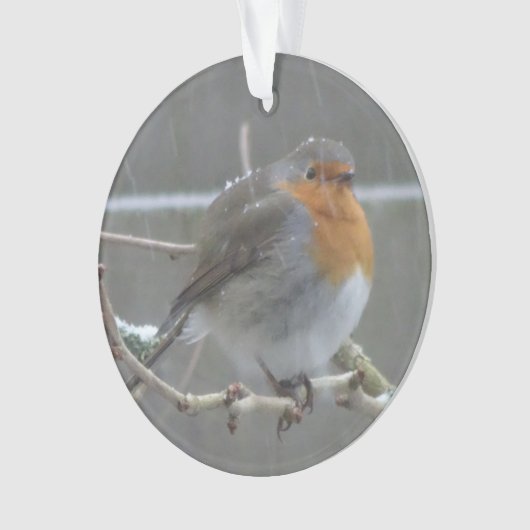 Robin in Snow Ornament (Vorderseite)