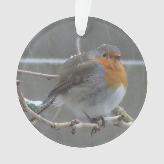 Robin in Snow Ornament (Vorderseite)