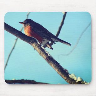 Robin In Snow Wildlife Nature Mousepad