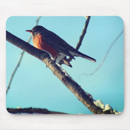 Robin In Snow Wildlife Nature Mousepad (Vorne)