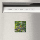 Robin in spiring. magnet (In Situ (Geschirrspüler))
