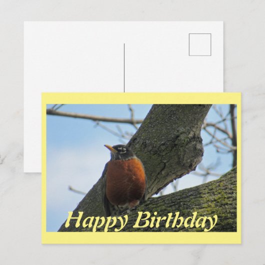 Robin In Tree Foto Geburtstag Postkarte (Vorne/Hinten)