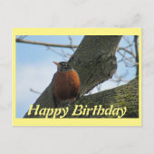Robin In Tree Foto Geburtstag Postkarte (Vorderseite)