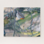 Robin in Tree Puzzle (Horizontal)