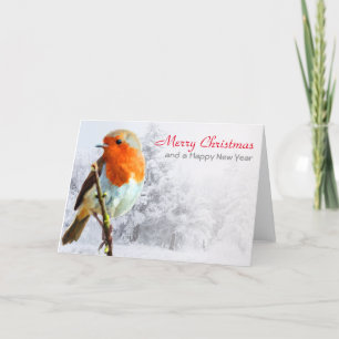 Robin in Winter Christmas Card Feiertagskarte