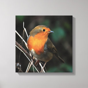 Robin ist ein glänzender Tag in der Kunst der Akro Leinwanddruck