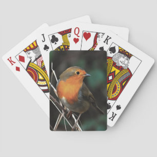Robin ist ein glänzender Tag in der Kunst der Akro Spielkarten