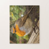 Robin Jigsaw Puzzle (Vertikal)