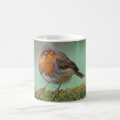 Robin Kaffeetasse (Mittel)