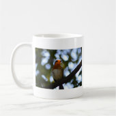 Robin Kaffeetasse (Links)