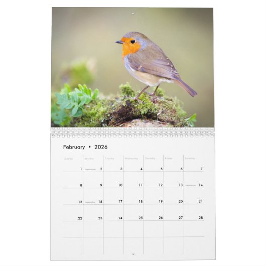 Robin-Kalender 2016 Kalender (Feb 2026)