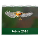 Robin-Kalender 2016 Kalender (Titelbild)