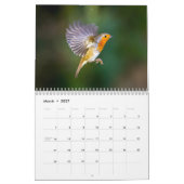 Robin-Kalender 2016 Kalender (Mär 2027)