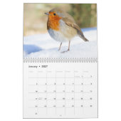 Robin-Kalender 2016 Kalender (Jan 2027)