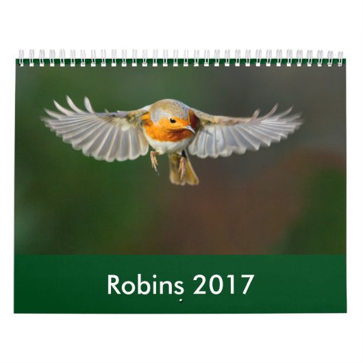 Robin-Kalender 2017 Kalender (Titelbild)