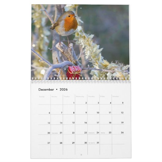 Robin-Kalender 2017 Kalender (Dez 2026)