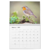 Robin-Kalender 2017 Kalender (Feb 2027)