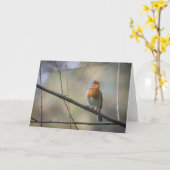 Robin Karte (Gelbe Blume)