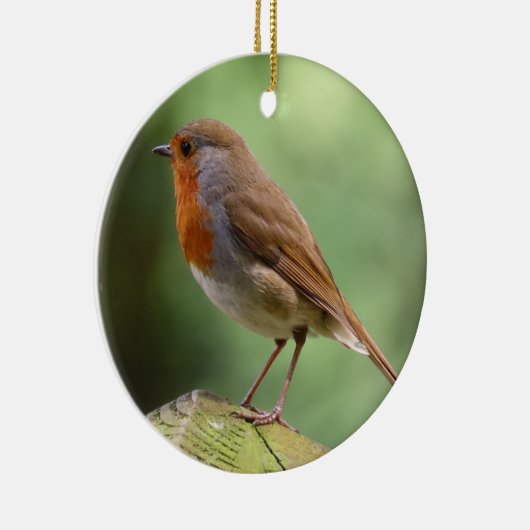 Robin Keramik Decoration Ornament (Rechts)