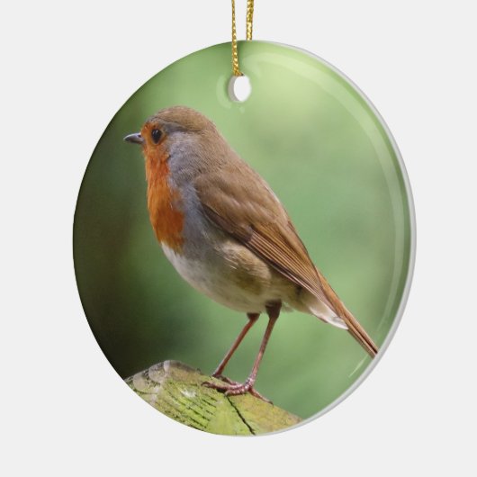 Robin Keramik Decoration Ornament (Links)
