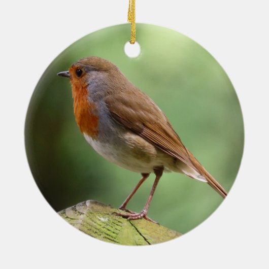 Robin Keramik Decoration Ornament (Hinten)