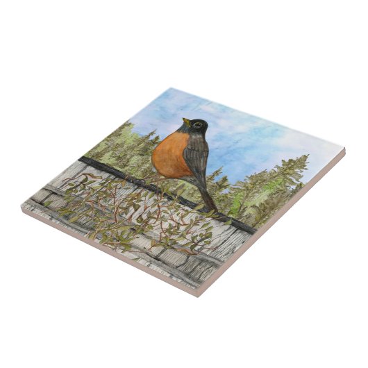 Robin Keramik Kitchen Tile Fliese (Seite)