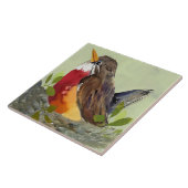 Robin Keramik Kitchen Tile Fliese (Seite)