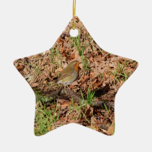 Robin Keramik Ornament (Vorne)