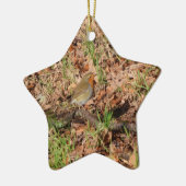 Robin Keramik Ornament (Links)
