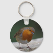 Robin Key Ring Schlüsselanhänger (Vorderseite)