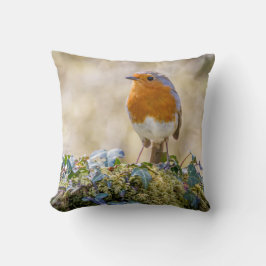 Robin Kissen mit zwei schönen Fotos