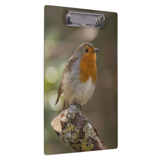 Robin Klemmbrett (Rechts)