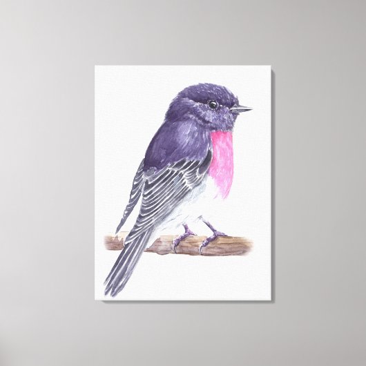 Robin Leinwanddruck (Vorderseite)
