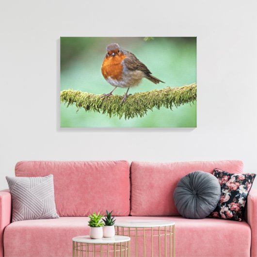 Robin Leinwanddruck (Insitu (Wohnzimmer))