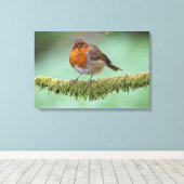 Robin Leinwanddruck (Insitu (Holzboden))