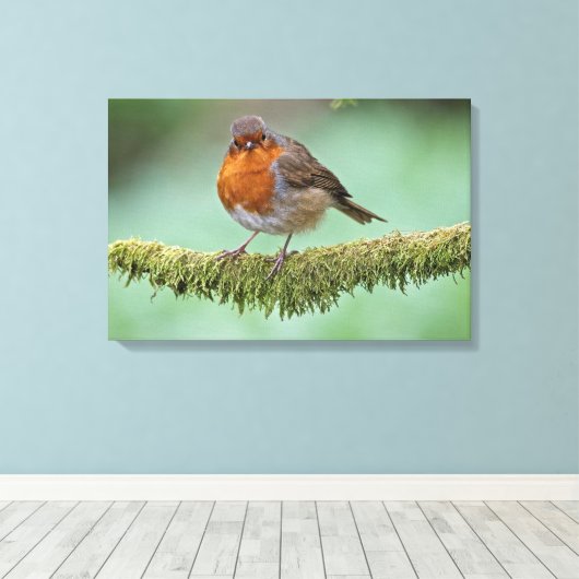 Robin Leinwanddruck (Insitu (Holzboden))