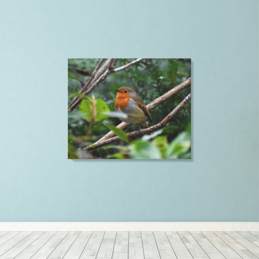 Robin Leinwanddruck (Insitu (Holzboden))