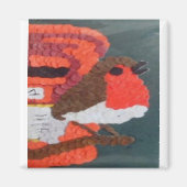 Robin Magnet (Vorne)