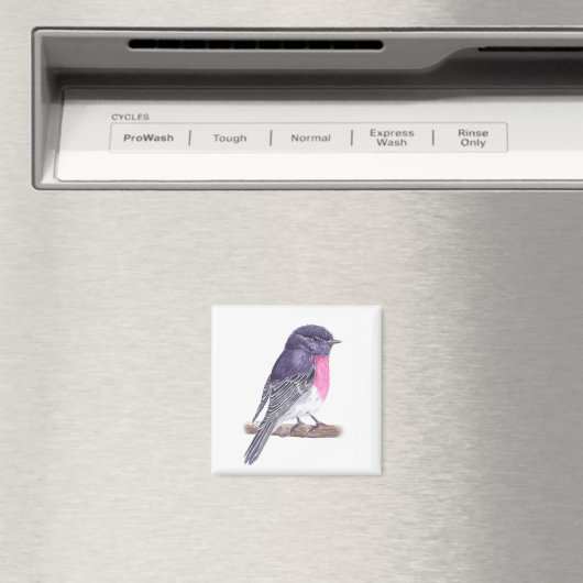 Robin Magnet (In Situ (Geschirrspüler))